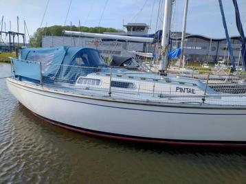 Contessa 28, Diesel, Utilisé, 6 à 9 mètres, Polyester