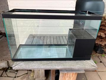 Aquarium beschikbaar voor biedingen