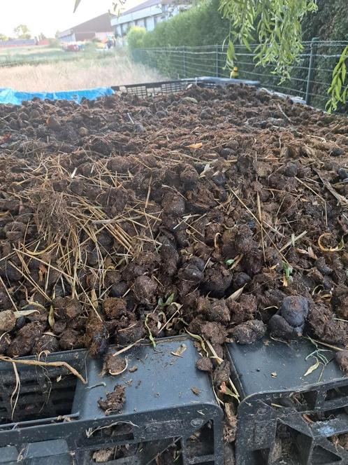 Gratis ponymest, Tuin en Terras, Aarde en Mest, Mest, Ophalen