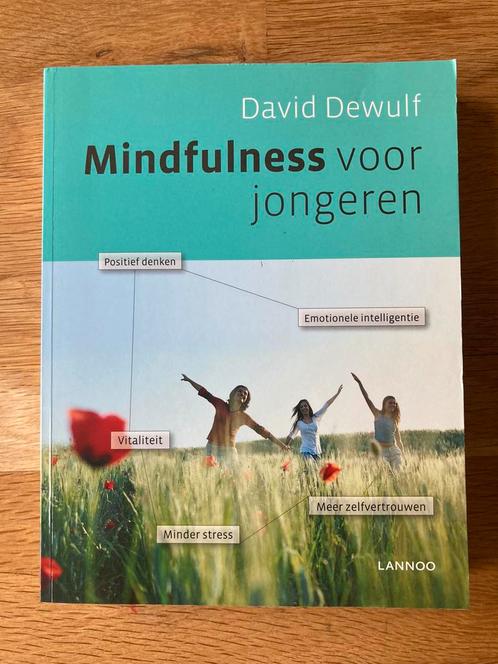 David Dewulf - Mindfulness voor jongeren, Livres, Psychologie, Comme neuf, Enlèvement ou Envoi