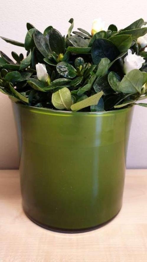 Bloempot, groen, hoogte 13cm, binnen diameter 12,5cm, nieuw!, Tuin en Terras, Bloempotten, Binnen, Ophalen of Verzenden