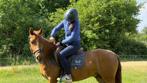 C/d pony te koop 3 jarige ruin, Dieren en Toebehoren, Pony's