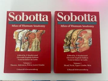 sobotta atlas of human anatomy volume 1 en 2, Boeken, Overige vakken, Zo goed als nieuw, Overige niveaus, Ophalen