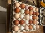 œufs frais élevés en plein air à vendre, Enlèvement