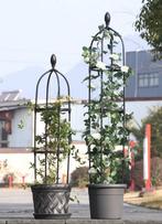 Plantensteun - klimrek voor klimplanten, Nieuw, 60 cm of meer, Tuin, Ophalen of Verzenden