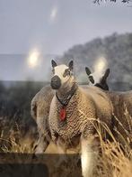 Livre de Kerry Hill, Tickets & Billets