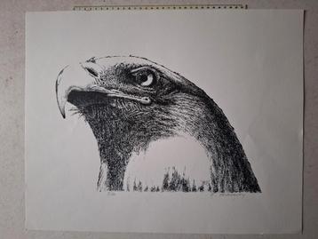 Litho van M. Verkoeyen "Arend" beschikbaar voor biedingen