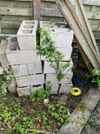 Betonpalen en blokken, Tuin en Terras, Tegels en Klinkers, Ophalen, Gebruikt