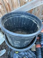 heel grote plantenkuip boomcontainer 63 x 49 cm, Kunststof, 40 cm of meer, Rond, 40 tot 70 cm