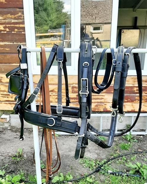 ✔ P. CLAESSEN PROF COB ONDERHOUDSVRIJ 1 SPAN TUIG 400 €  🔴, Dieren en Toebehoren, Paarden en Pony's | Hoofdstellen en Tuigage