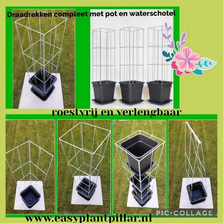 ZELF KWEKEN handige plantrekken met kwekerspot, Tuin en Terras, Planten | Tuinplanten, Vaste plant, Klimplanten, Volle zon, Herfst