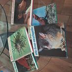 Dieren encyclopedie artis, Ophalen of Verzenden, Zo goed als nieuw