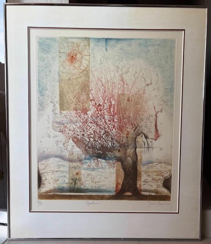 René Carcan - ets en aquatint, Antiek en Kunst, Kunst | Etsen en Gravures, Ophalen