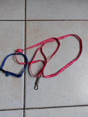 leiband voor katje, Enlèvement ou Envoi, Comme neuf