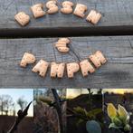 We ruimen een deel van ons veld op, Jardin & Terrasse, Plantes | Arbres fruitiers, Enlèvement, En pot