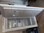 Bosch Electronic diepvries 195 l  klasse A, Ophalen, Zo goed als nieuw