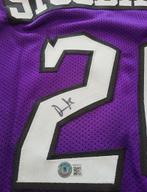 Maillot NBA dédicacé Damon Stoudamire, Enlèvement ou Envoi, Comme neuf, Vêtements