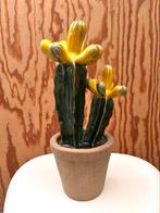 Cactus in keramiek en steen, Ophalen