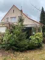 (Kerst)Boom 3,9m en kleine van 1,8m, Tuin en Terras, Planten | Bomen, Ophalen, Overige soorten, 250 tot 400 cm