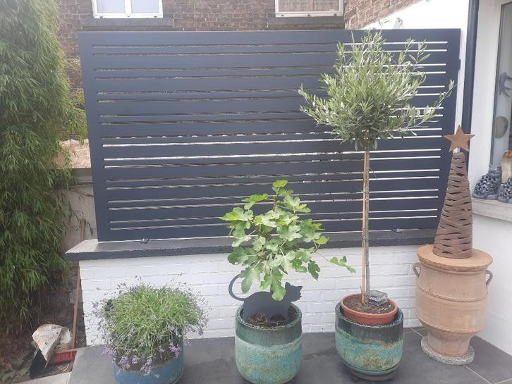 Brise vue, Tuin en Terras, Tuinschermen, Nieuw, Staal, 200 cm of meer, 200 cm of meer, Ophalen