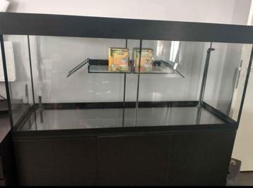 Aquarium schildpadden beschikbaar voor biedingen