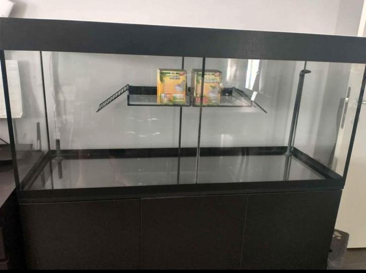 Aquarium schildpadden, Dieren en Toebehoren, Reptielen en Amfibieën | Toebehoren, Gebruikt, Terrarium of Paludarium, Ophalen