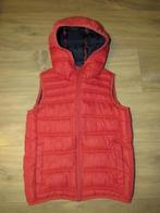 Bodywarmer Zara Boys maat 128, Jongen, Trui of Vest, Gebruikt, Ophalen of Verzenden