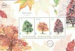 Nederlandse Bomen vel van 3 zegels + 3 ansichtkaarten(2019), Ophalen of Verzenden, Postfris, Dier of Natuur