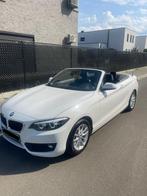 BMW 220i, Auto's, BMW, Automaat, 2 Reeks, Wit, Leder