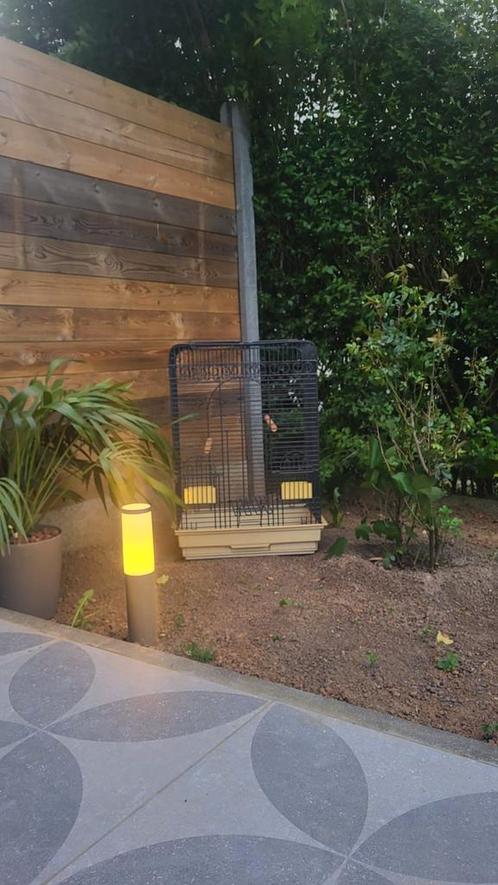 Kooi voor vogel/papegaaien, Dieren en Toebehoren, Vogels | Hokken en Kooien, Zo goed als nieuw, Ophalen
