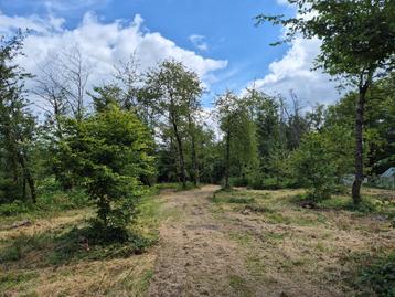 terrain agricole boisé 1H20a disponible aux enchères