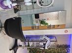 Te huur stoelen in  de kapper salon, Diversen, Ophalen, Nieuw