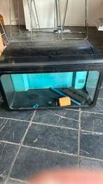 Aquarium 50-60l, Ophalen, Zo goed als nieuw