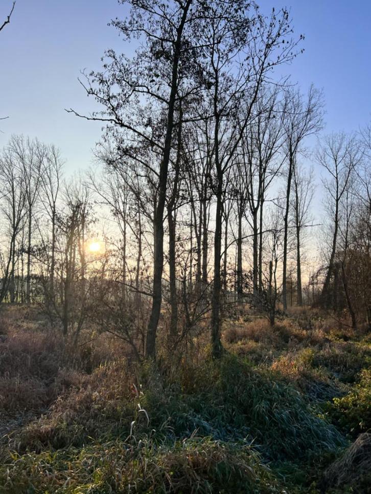 Bosgrond te koop – Goeferdinge 6660 m2, Immo, Gronden en Bouwgronden, 1500 m² of meer, Verkoop zonder makelaar