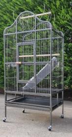 NOUVELLE CAGE À PERROQUETS, Enlèvement ou Envoi