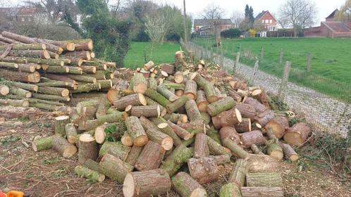 Voordelig Dennenhout op rol 30-40 cm, Tuin en Terras, Brandhout, Stammen, Overige houtsoorten, 6 m³ of meer, Ophalen
