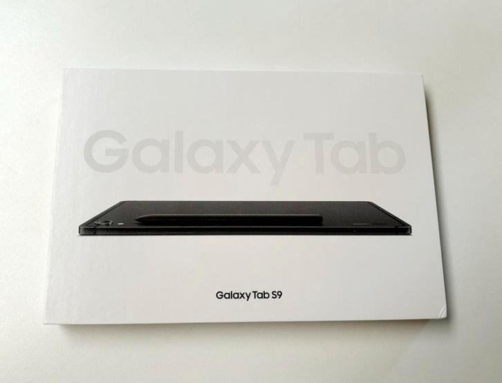 NIEUW! Samsung Galaxy Tab S9 Wi-Fi, 12Gb/256Gb. Vaste prijs!, Computers en Software, Android Tablets, Nieuw, Wi-Fi, 11 inch, 256 GB