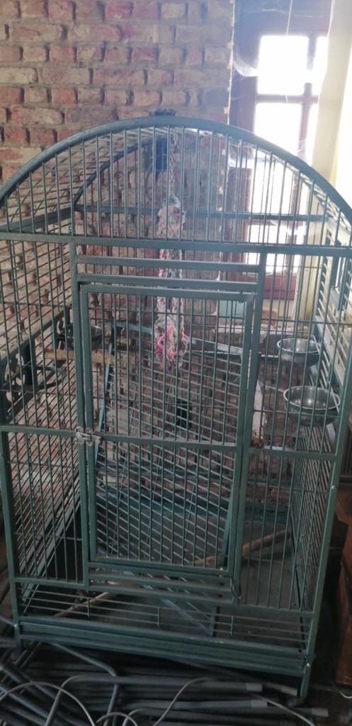 papegaaien kooi zeer robuust in topstaat, Dieren en Toebehoren, Vogels | Hokken en Kooien, Zo goed als nieuw, Vogelkooi, Ophalen