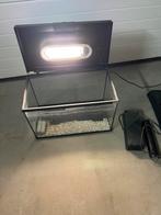 Aquarium, Enlèvement, Utilisé