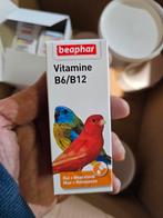 Vitamine B6/B12 - 50 ml - Beaphar, Animaux & Accessoires, Enlèvement