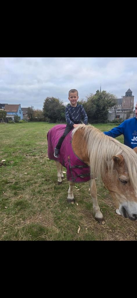 2 oudjes, Dieren en Toebehoren, Pony's