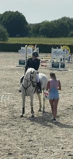 Poneys, Dieren en Toebehoren, Pony's, Ruin, D pony (1.37m tot 1.48m), Ontwormd, 7 tot 10 jaar