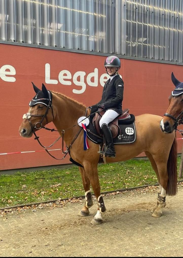 Springpony, Dieren en Toebehoren, Pony's, Merrie, Springpony