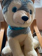 grote knuffelhond, Ophalen, Gebruikt, Hond