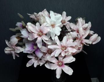 Lot / partij kunstbloemen Magnolia's ( NIEUW ) beschikbaar voor biedingen