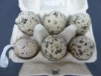 Décoration de Pâques en plastique d'œufs de caille, Enlèvement ou Envoi, Neuf