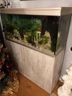 Aquarium 400 L Aquatlantis Splendid ultra, Dieren en Toebehoren, Ophalen