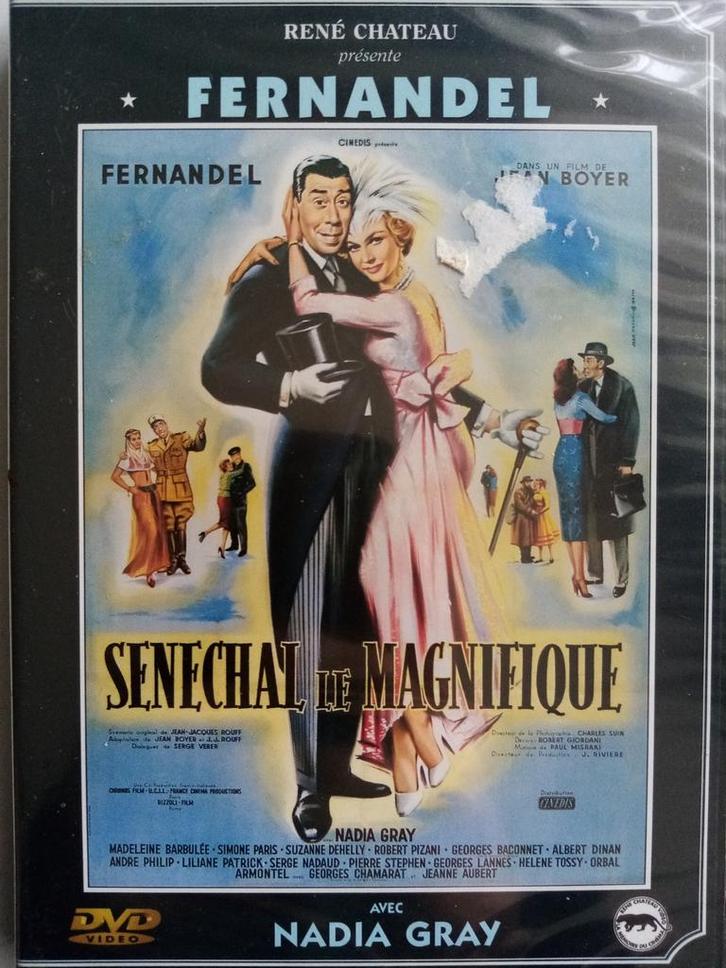Sénéchal le magnifique / DVD René château NEUF, CD & DVD, DVD | Classiques, Enlèvement ou Envoi