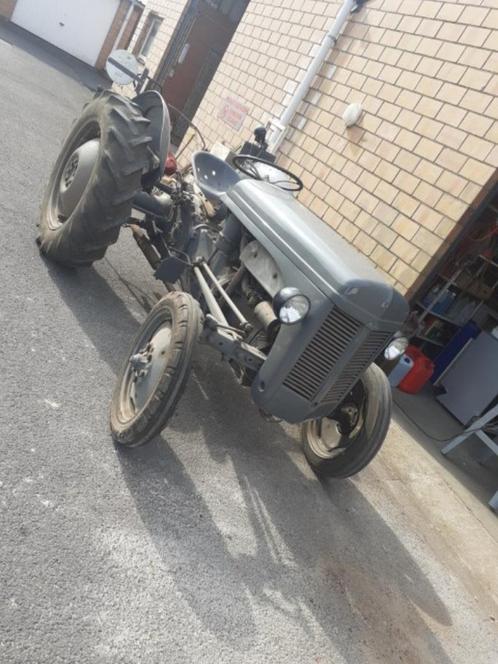Tractor Ferguson, Zakelijke goederen, Landbouw | Tractoren, Massey Ferguson, tot 80 Pk, Oldtimer, Ophalen