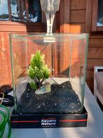 Beta aquarium, Ophalen, Zo goed als nieuw